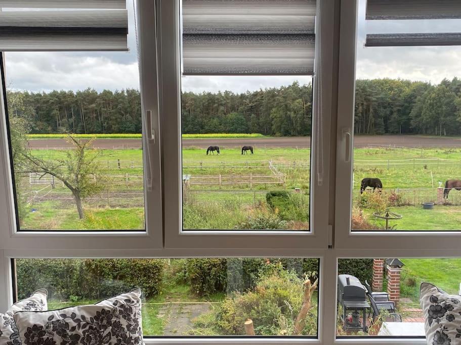 Wunderschoene Ferienwohnung Auf Dem Bauernhof Greven Ngoại thất bức ảnh