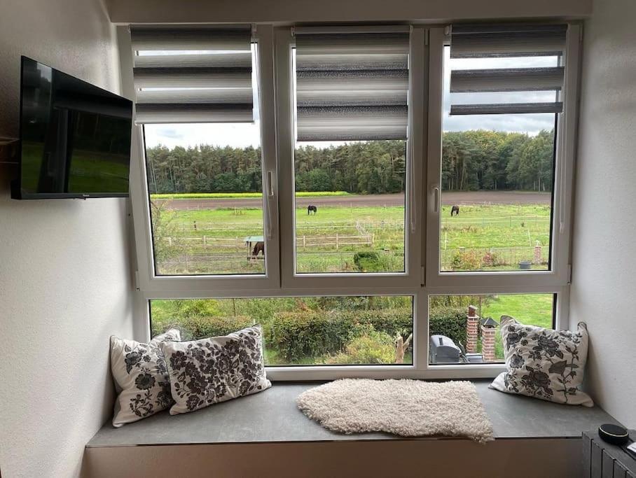 Wunderschoene Ferienwohnung Auf Dem Bauernhof Greven Ngoại thất bức ảnh